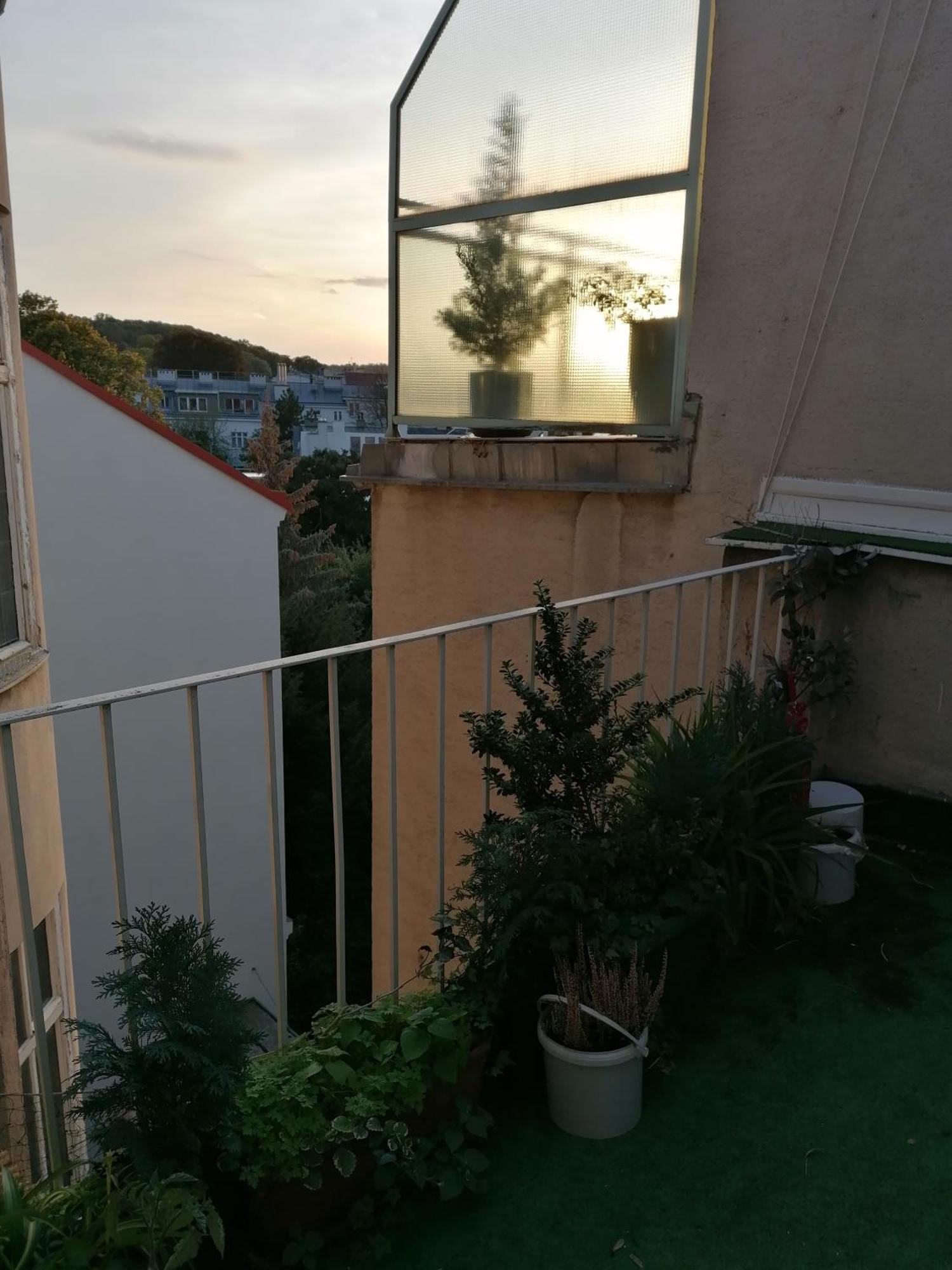 Apartament Bioparadies Viena
