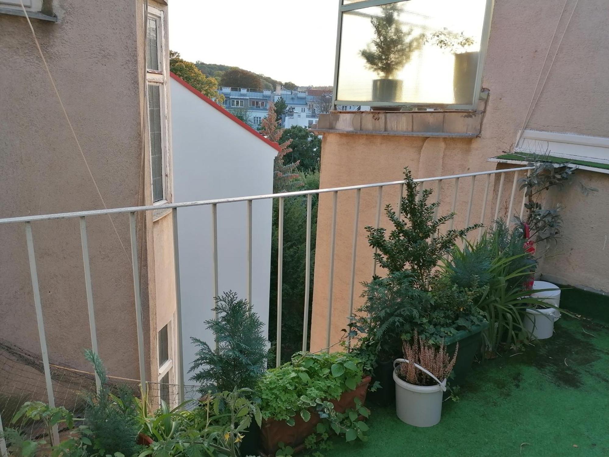 Apartament Bioparadies